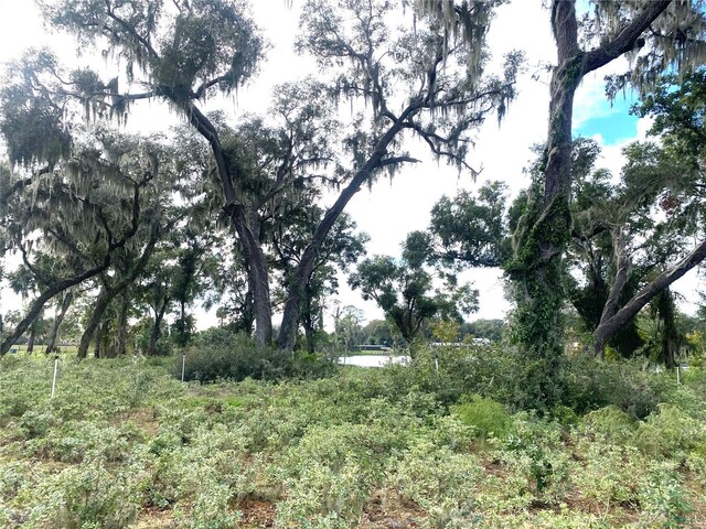 00 Mcbride Rd, Seville, FL 32190