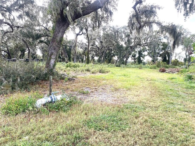 00 Mcbride Rd, Seville, FL 32190