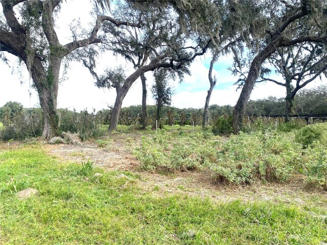 00 Mcbride Rd, Seville, FL 32190