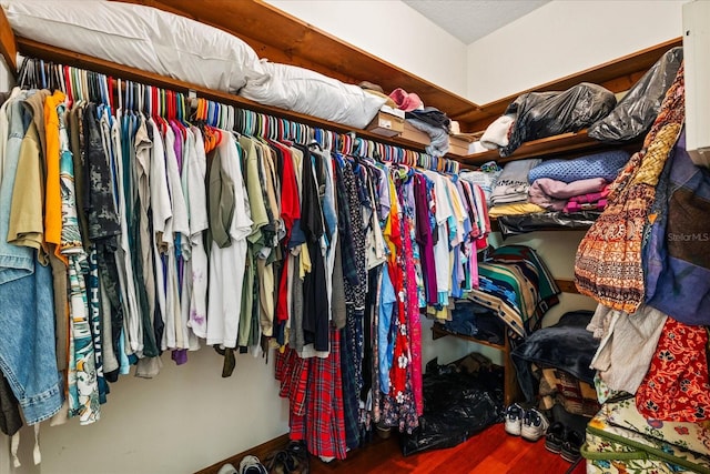 spacious closet with wood-type flooring