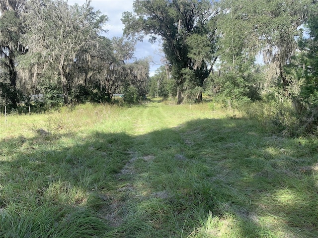 1908 County Road 308, Crescent City FL, 32112 land for sale