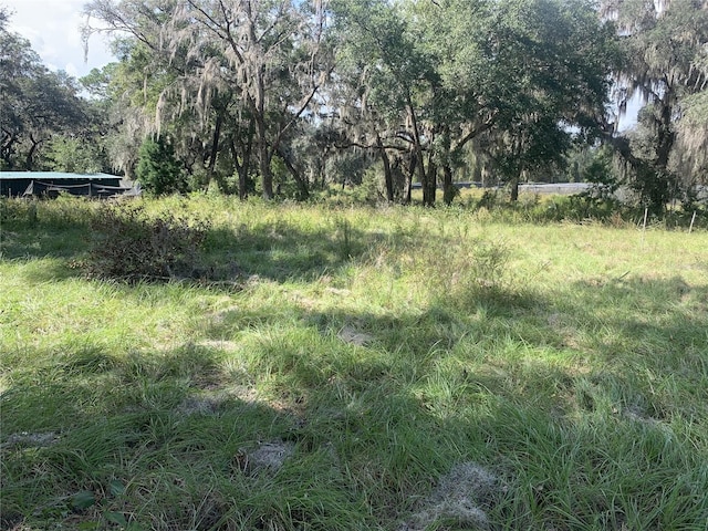 Listing photo 3 for 1908 County Road 308, Crescent City FL 32112