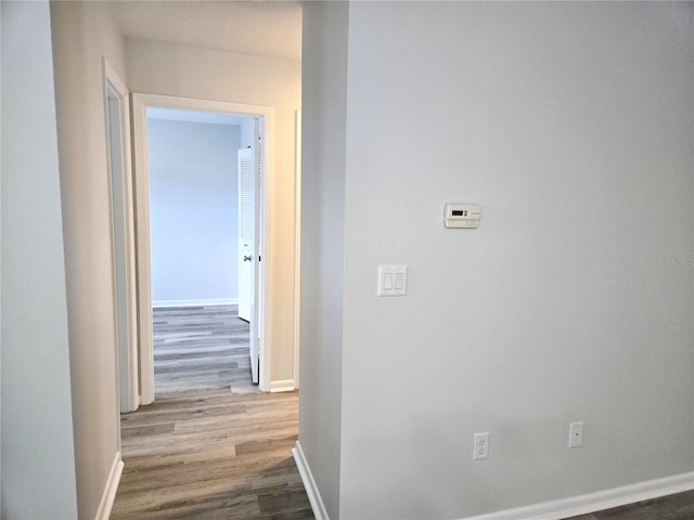 hallway featuring wood-type flooring