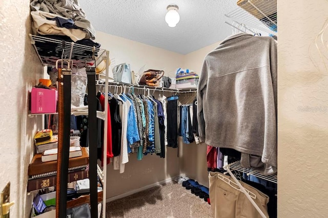 walk in closet with carpet