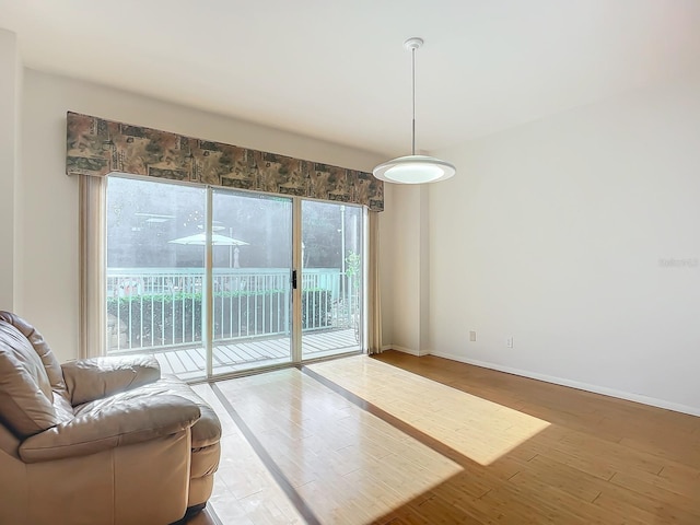 interior space featuring hardwood / wood-style flooring and plenty of natural light