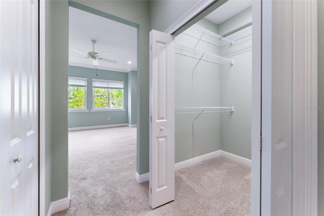 walk in closet with light carpet and ceiling fan