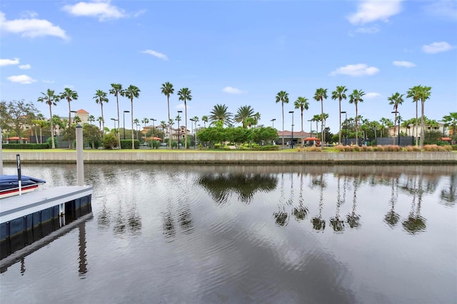 226 Harbor Village Pt N, Palm Coast, FL 32137