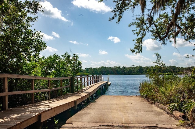 dock area featuring a water view