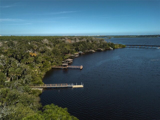 6225 Cranberry Dr, Port Orange, FL 32127 - photo 59
