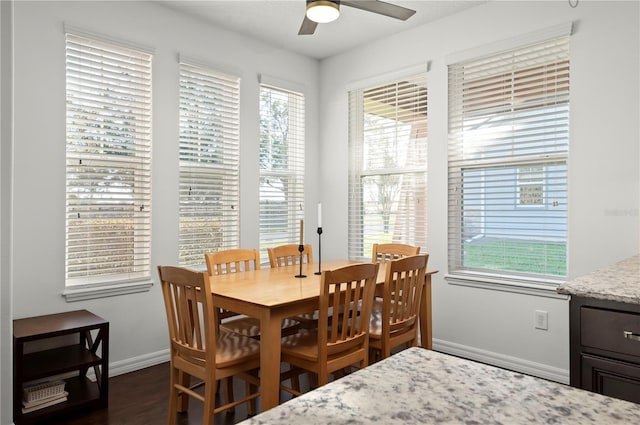 dining room featuring ceiling fan and dark wood-type flooring