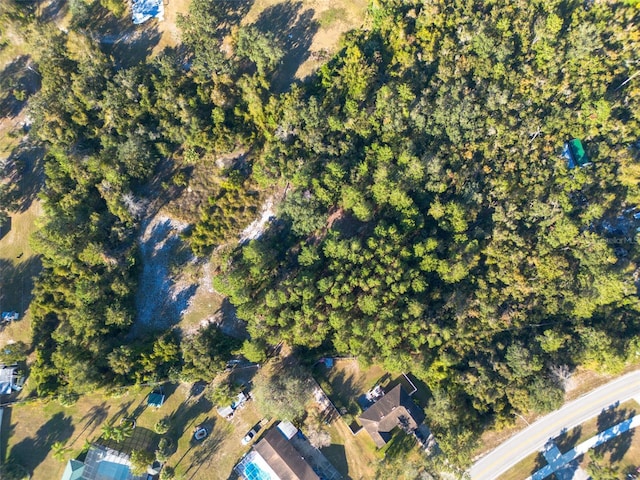 2078 Elkcam Blvd, Deltona, FL 32725 - photo 22