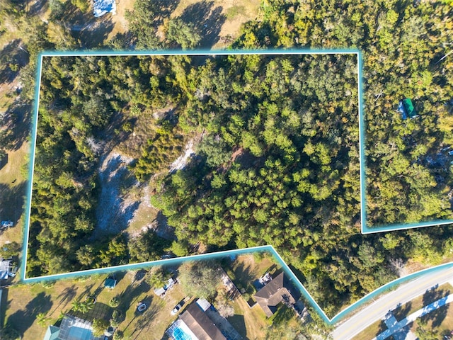 2078 Elkcam Blvd, Deltona, FL 32725 - photo 23