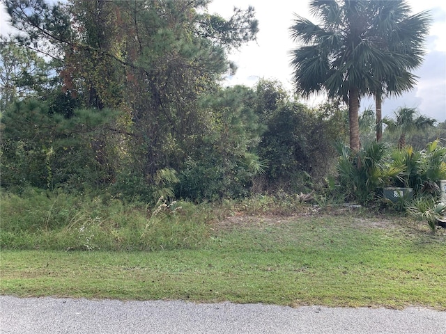 Listing photo 2 for 220 Live Oak Blvd, Crescent City FL 32112