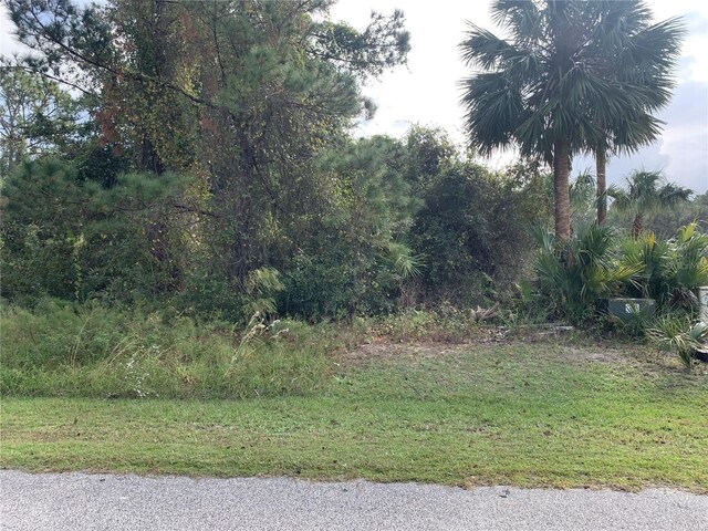 220 Live Oak Blvd, Crescent City, FL 32112 - photo 2