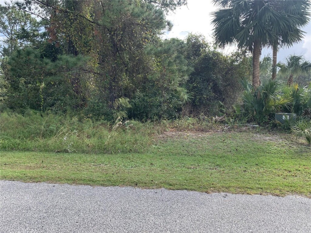 220 Live Oak Blvd, Crescent City, FL 32112 - photo 3