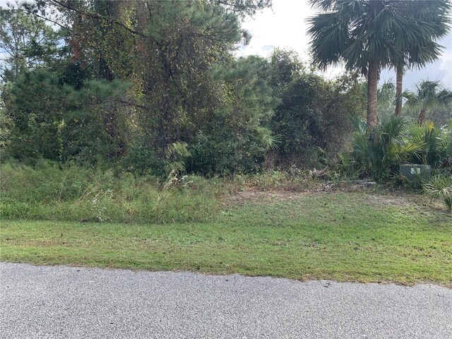 220 Live Oak Blvd, Crescent City, FL 32112 - photo 3
