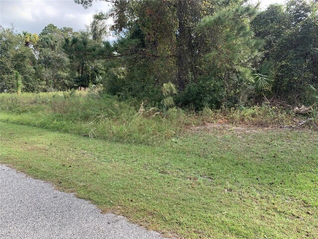 220 Live Oak Blvd, Crescent City, FL 32112 - photo 4