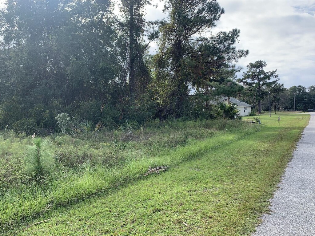 206 Live Oak Blvd, Crescent City, FL 32112 - photo 2