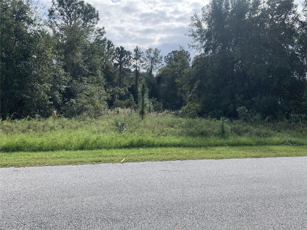 206 Live Oak Blvd, Crescent City, FL 32112 - photo 4