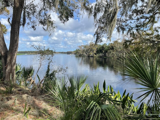 view of water feature