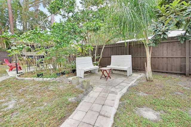 view of yard featuring a patio