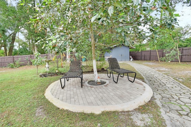 view of yard with a patio and a storage unit