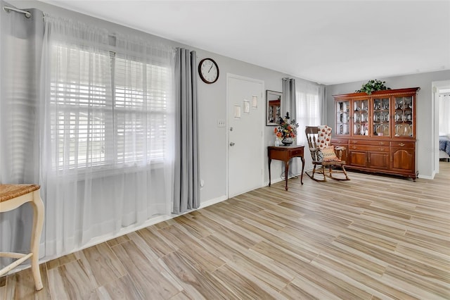 interior space featuring light wood-type flooring and a wealth of natural light