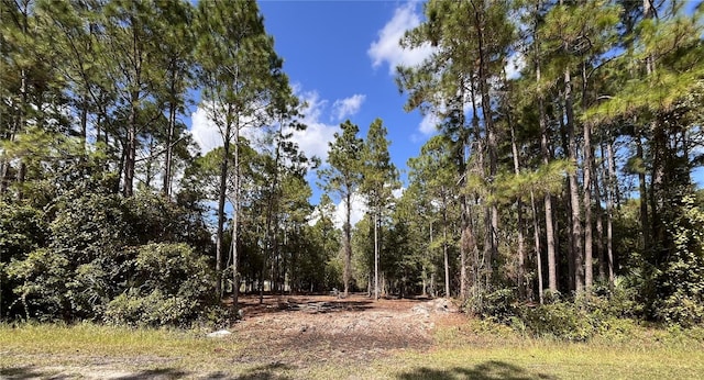 4192 Oleander Ave, Bunnell FL, 32110 land for sale