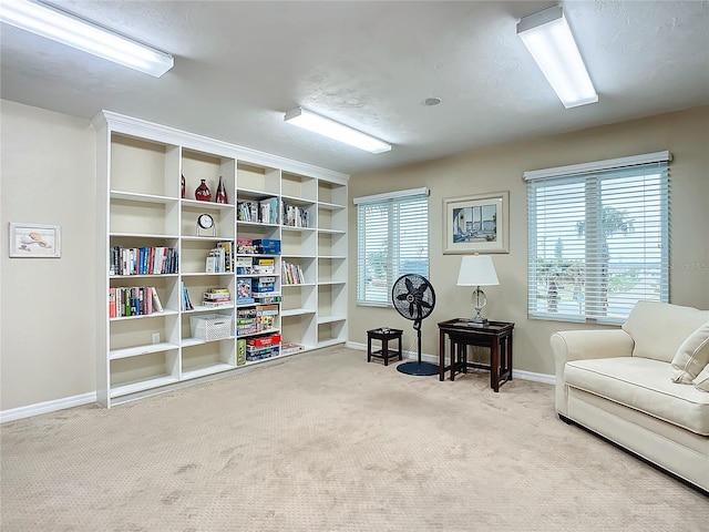 living area with carpet floors