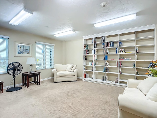 sitting room with carpet