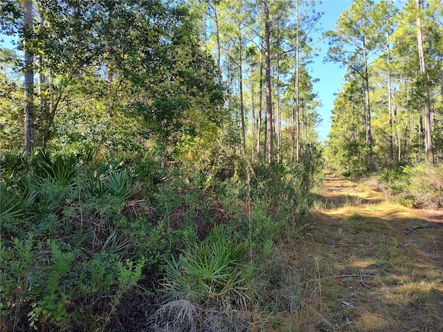 Ward St, Astor FL, 32102 land for sale