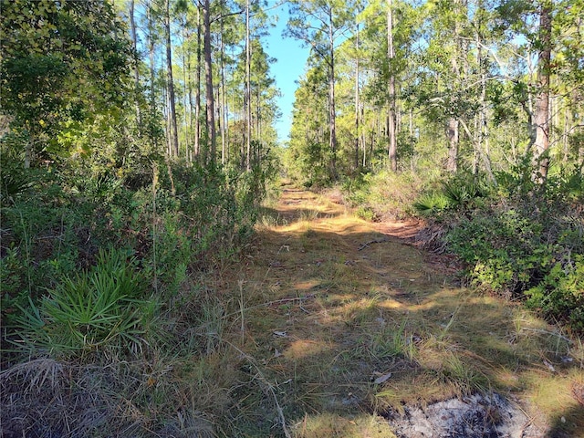 Listing photo 3 for Ward St, Astor FL 32102