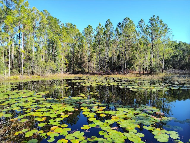 Smith St, Astor, FL 32102