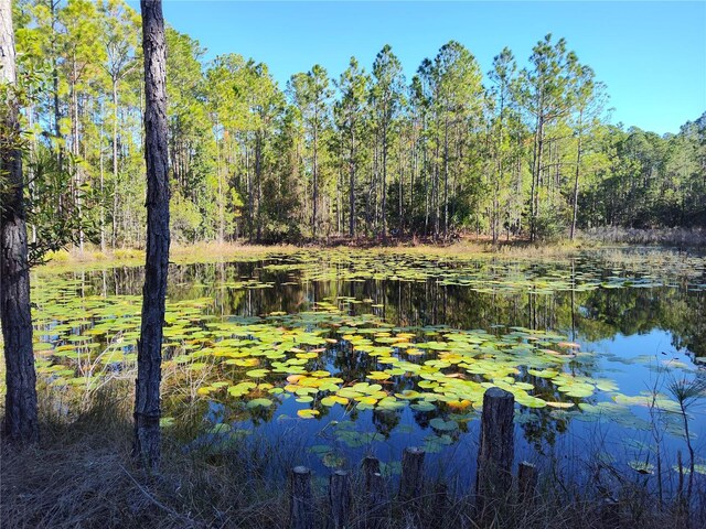 Smith St, Astor, FL 32102