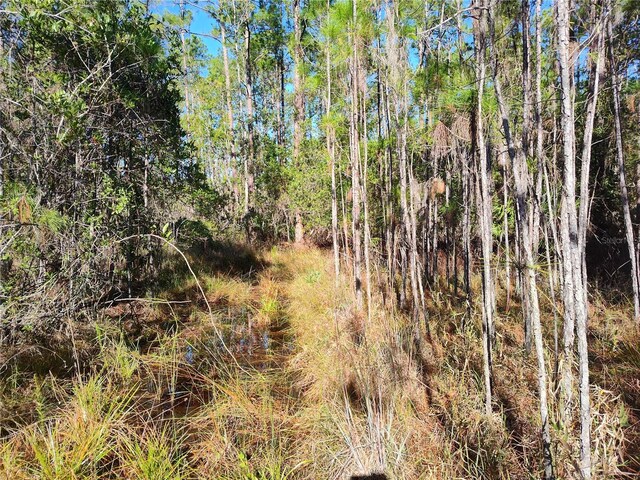 Smith St, Astor, FL 32102