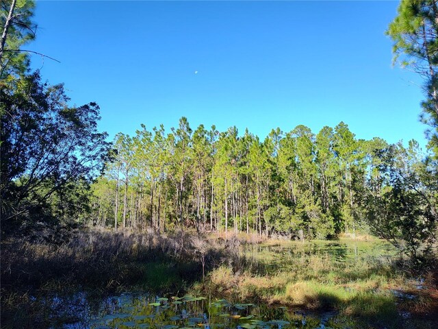 Smith St, Astor, FL 32102