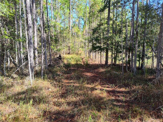 Smith St, Astor, FL 32102