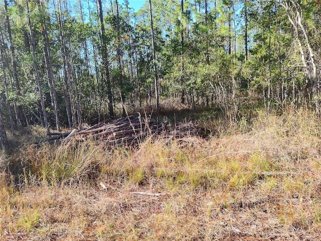 Smith St, Astor, FL 32102