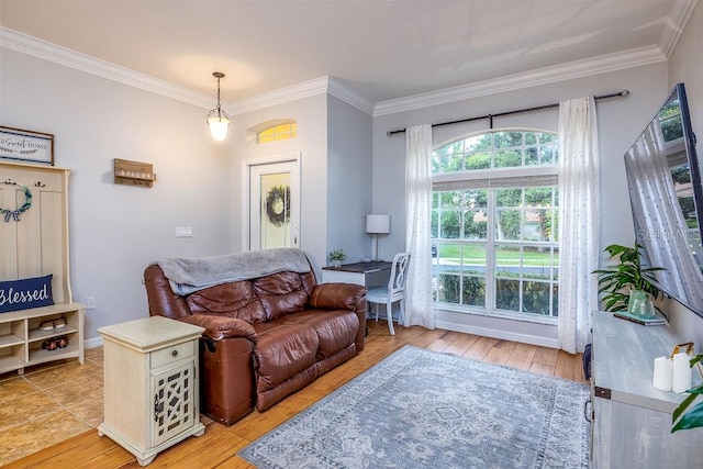 living room featuring light hardwood / wood-style floors and ornamental molding