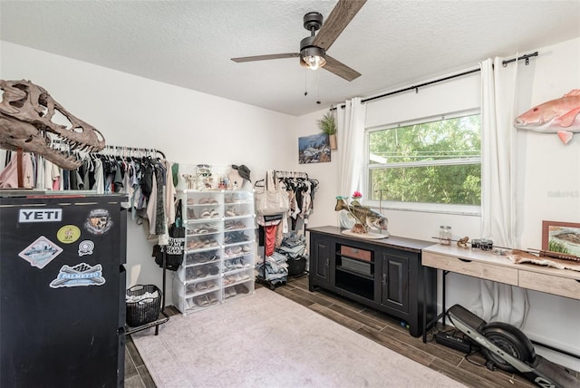 walk in closet with dark hardwood / wood-style floors and ceiling fan