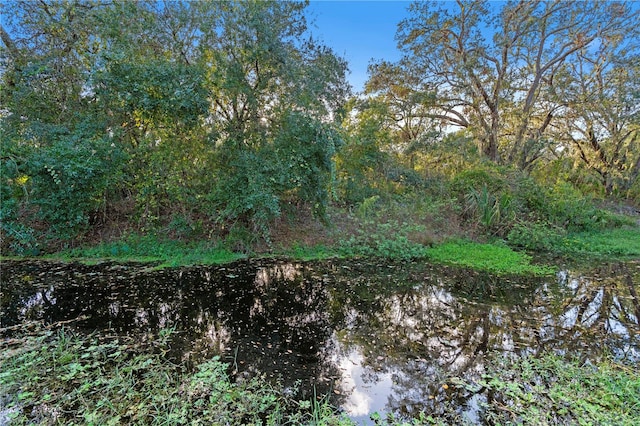 view of local wilderness featuring a water view