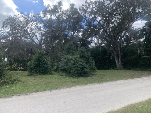 127 W 3rd Ave, Pierson FL, 32180 land for sale