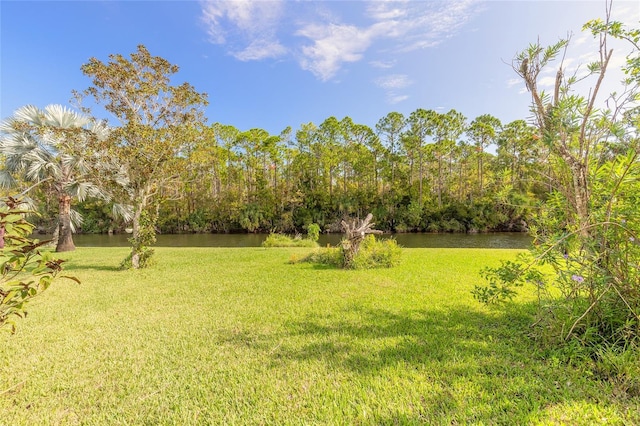 6180 Knotty Pine Ct, Port Orange, FL 32127 - photo 45