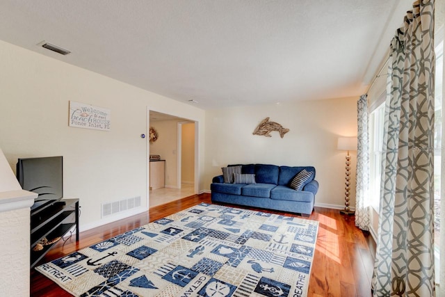 living room with hardwood / wood-style flooring