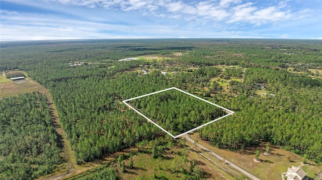 2 Wild Cur Rd, Pierson FL, 32180 land for sale