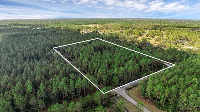 Listing photo 3 for 2 Wild Cur Rd, Pierson FL 32180