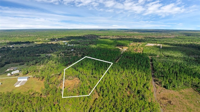 1 Wild Cur Rd, Pierson FL, 32180 land for sale