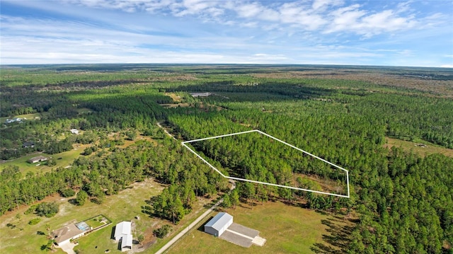 Listing photo 3 for 1 Wild Cur Rd, Pierson FL 32180