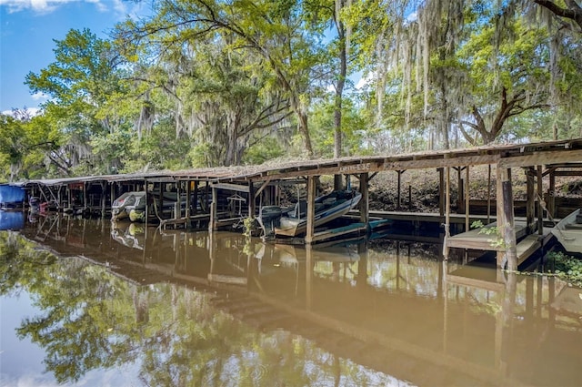 dock area with a water view