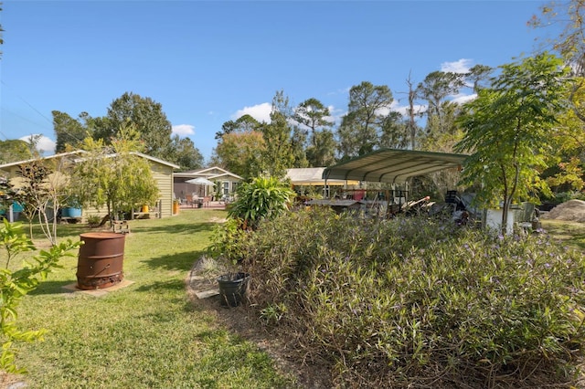 view of yard featuring a carport